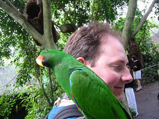nels and parrot friend